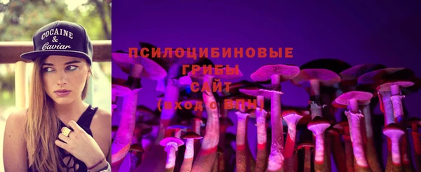 дурь Аркадак