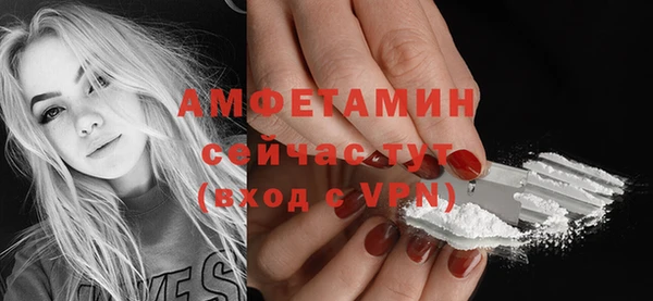 сатива Армянск