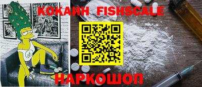 индика Можга