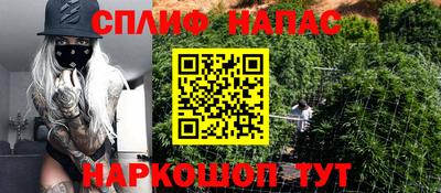 индика Можга