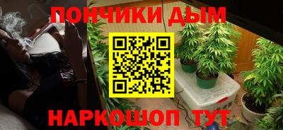прущие крисы Моздок