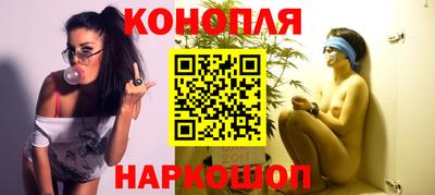 прущие крисы Моздок