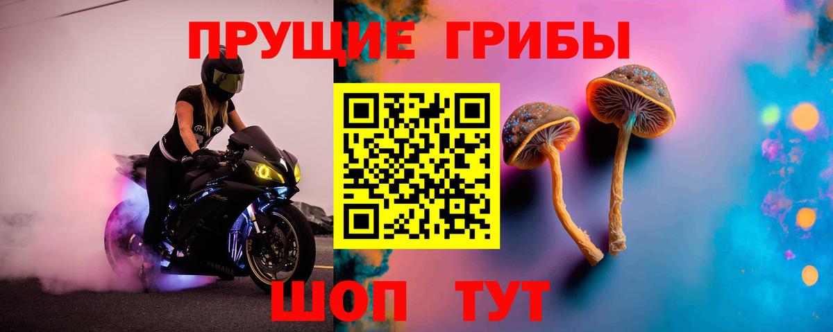 Пушкино  Псилоцибиновые грибы Magic Shrooms  Вход с VPN 